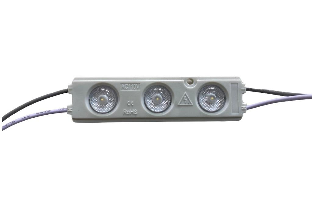 Modulo Led Blanco Frio 110V Ip67