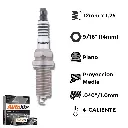 Bujia Autolite Doble Platino Ngk Plzkar6A-11