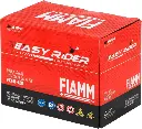 Batería Moto Fiamm Agm Ftx4l Boxer Platino Cb110 Raider Navi